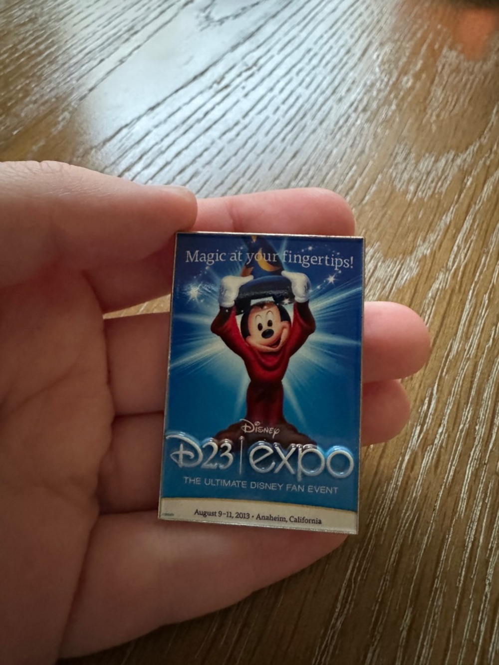 2026 Disney D23 Through the Years Mystery Poster Pin 2013